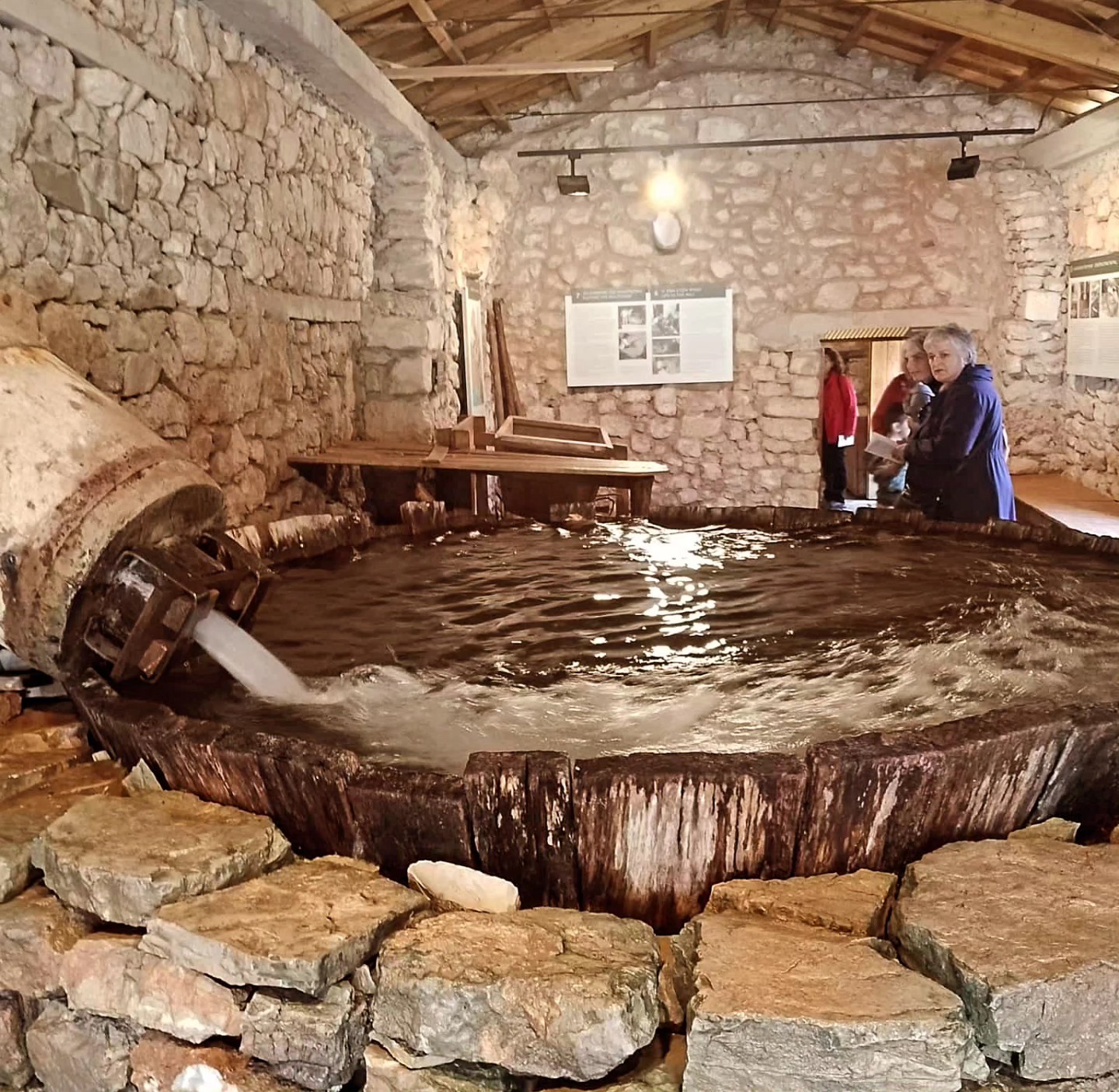 Το Λύκειο Ελληνίδων Παιανίας στη Δημητσάνα